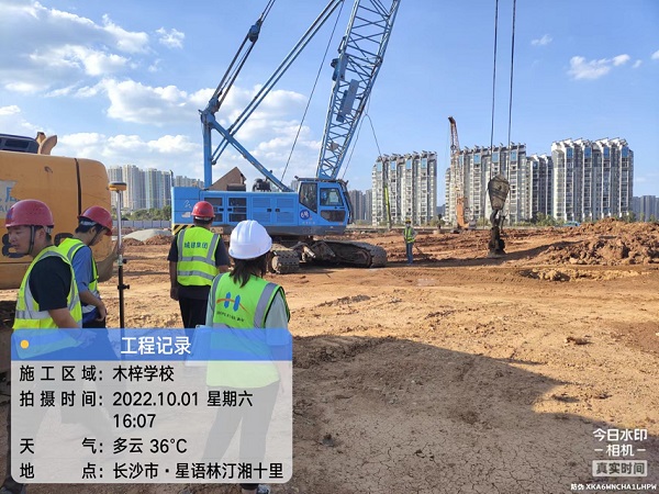 红姐彩图统一总图库